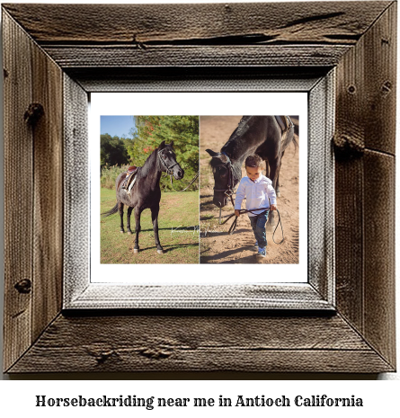 horseback riding near me in Antioch, California